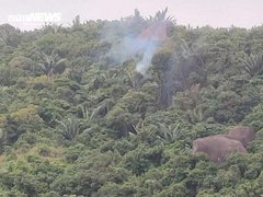 Đọc nhanh bài viết 1027904