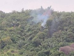 Đọc nhanh bài viết 1027909