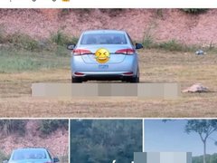 Đọc nhanh bài viết 1028042