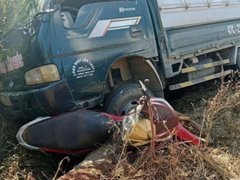 Đọc nhanh bài viết 1028068