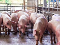 Đọc nhanh bài viết 1028077