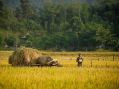 Đọc nhanh bài viết 1028078