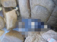 Đọc nhanh bài viết 1028091