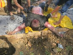 Đọc nhanh bài viết 1028138