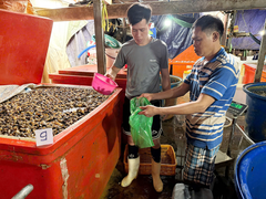 Đọc nhanh bài viết 1028194