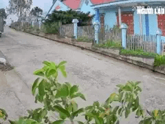 Đọc nhanh bài viết 1028214