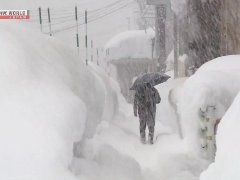 Đọc nhanh bài viết 1028382