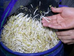 Đọc nhanh bài viết 1028434