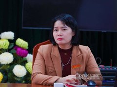 Đọc nhanh bài viết 1028439