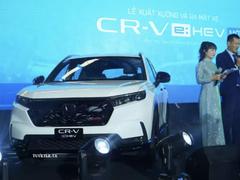 Đọc nhanh bài viết 1028445