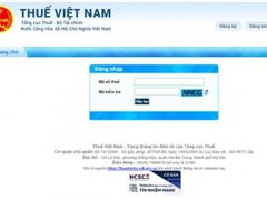 Đọc nhanh bài viết 1028456