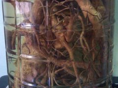 Đọc nhanh bài viết 1028476