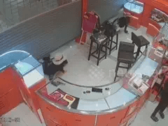 Đọc nhanh bài viết 1028519