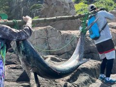 Đọc nhanh bài viết 1028547