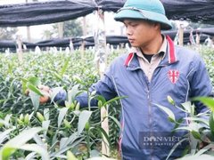 Đọc nhanh bài viết 1028556