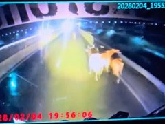 Đọc nhanh bài viết 1028793