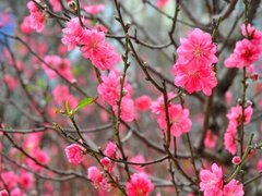 Đọc nhanh bài viết 1028877