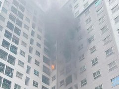 Đọc nhanh bài viết 1028892