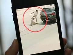 Đọc nhanh bài viết 1028954