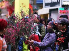 Đọc nhanh bài viết 1028966