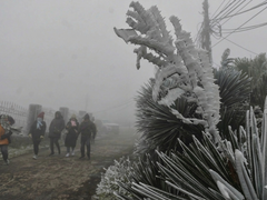 Đọc nhanh bài viết 1028971