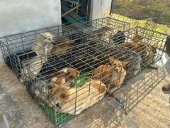 Đọc nhanh bài viết 1029133