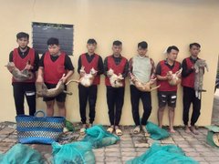 Đọc nhanh bài viết 1029139