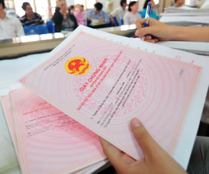 Đọc nhanh bài viết #1000079