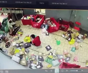 Đọc nhanh bài viết #1000229