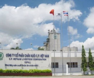 C.P. Việt Nam thông báo khẩn về kết quả cuộc điều tra an toàn thực phẩm tại Sóc Trăng: Không khởi tố vụ án hình sự