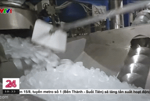 Ảnh bìa bài viết 1000645
