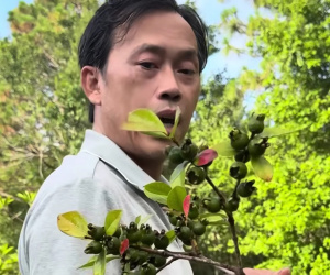 Hoài Linh thăm vườn biệt thự vài trăm m2 tại Mỹ, em trai nói: "Khác gì ở Việt Nam đâu"