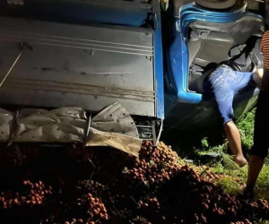 Vụ xe vải lật bị người dân "hôi của": Chủ xe nói "các bác ơi đây là vải của cháu" nhưng không ai quan tâm