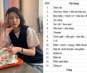 Bảng chi tiêu trị giá 22 triệu đồng bị chê tơi tả