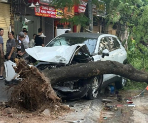 Đọc nhanh bài viết #1001269