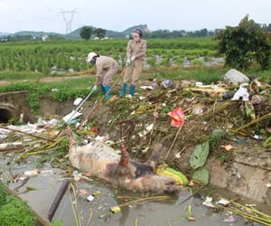 Ảnh bìa bài viết 1001330
