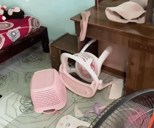 Ảnh bìa bài viết 1001398