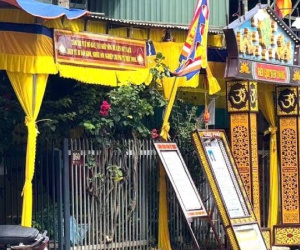 Đọc nhanh bài viết #1001538