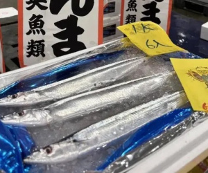 Cùng một tên gọi, ở Việt Nam chỉ bán vài trăm nghìn, Nhật Bản bán hơn 50 triệu/kg: Tại sao lại đắt như vậy?