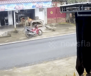 Ảnh bìa bài viết 1001768