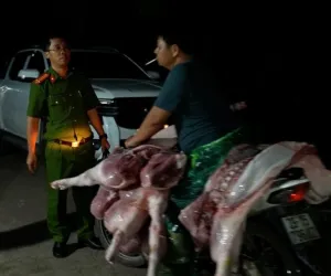 Đường dây giết mổ, tiêu thụ lợn bệnh tại Hà Nội: Những đối tượng nào sẽ bị xử lý?
