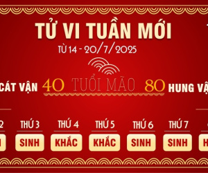 Đọc nhanh bài viết #1001968