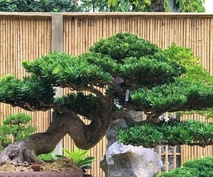 Ảnh bìa bài viết 1002211