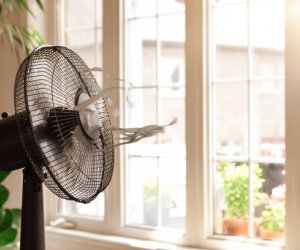 Sau 28 năm cuộc đời, giờ tôi mới biết dùng quạt đúng cách: Phòng tôi mát nhất từ trước đến nay