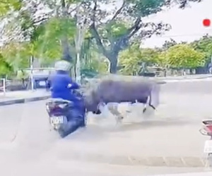 Đọc nhanh bài viết #1002328