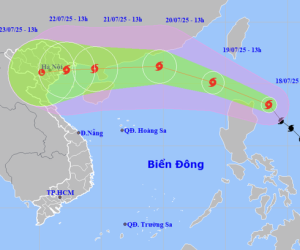 Đọc nhanh bài viết #1002615