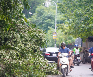 Ảnh minh họa
