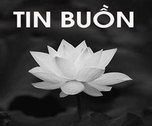 Ảnh bìa bài viết 1002971