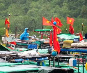 Ảnh bìa bài viết 1002990
