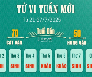 Đọc nhanh bài viết #1003000